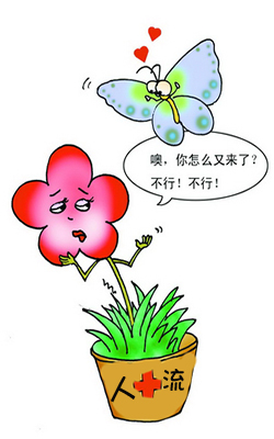 女人能流产几次