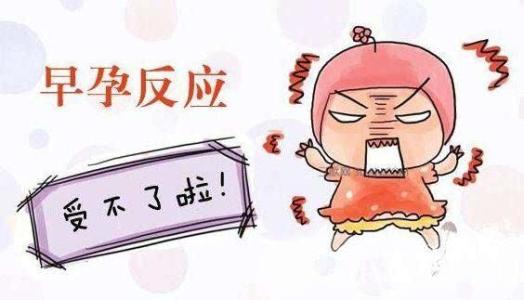 早孕反应有哪些反应?【5项怀孕早期胎儿发育所需营养】