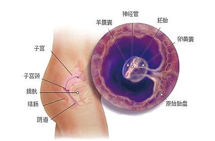 第二次清宫疼吗？清宫手术成功高吗？