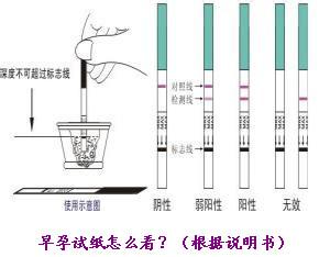 早早孕试纸多久能测【4个早孕试纸使用注意事项】