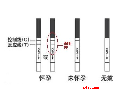多长时间能测出早孕?【早孕反应的5大症状】