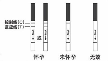 多长时间能测出怀孕？早孕检查的项目有哪些？