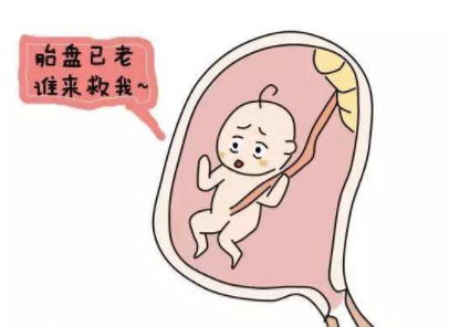 怀孕几个月可以查B超★B超检查需要注意些什么?