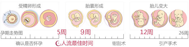 三个月的孩子能打吗？【人工流产手术的***佳时间】