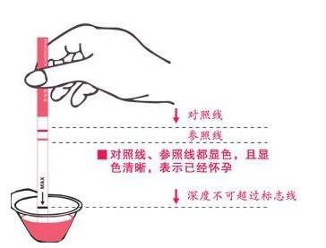 怀孕几天可以用试纸测出来？【早孕试纸的使用方法及注意事项】