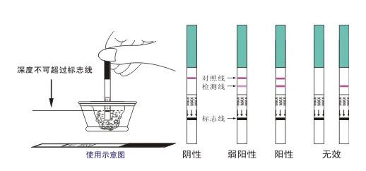 怀孕多少天可以测出来？早孕测试的方式有哪几种？