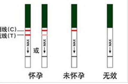 排卵后多久能测出好孕？测试怀孕都有哪些方法呢？