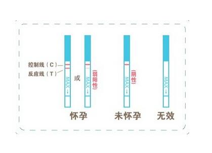 测试怀孕***佳时间★身体上这些变化可能预示怀孕了！