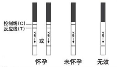 怀孕多长时间可以确定?一深一浅是怀孕了吗?
