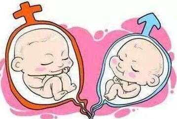 早孕试纸哪个牌子的反应好?个人亲试,供宝妈参考!