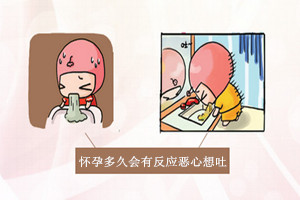 怀孕多久会有反应恶心想吐,早孕反应的时间