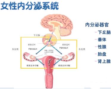 两个月不来月经了也没怀孕怎么办【医生提醒，谨防闭经！】
