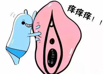 阴道口瘙痒怎么办?女性再不看就晚了!